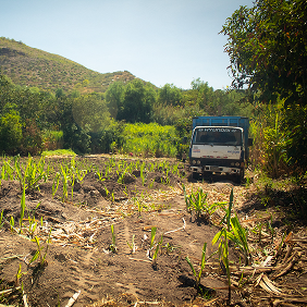 Cami&oacute;n en el valle de cultivo